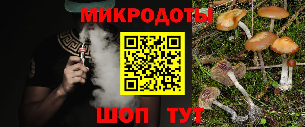 Галлюциногенные грибы Psilocybe Новоуральск